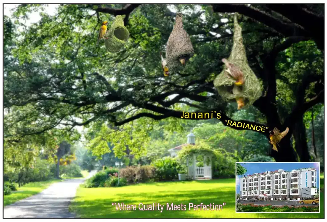 Janani Radiance